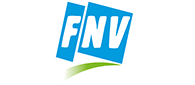 FNV LOGO FLASH CMY