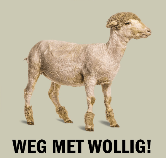 Weg met Wollig!